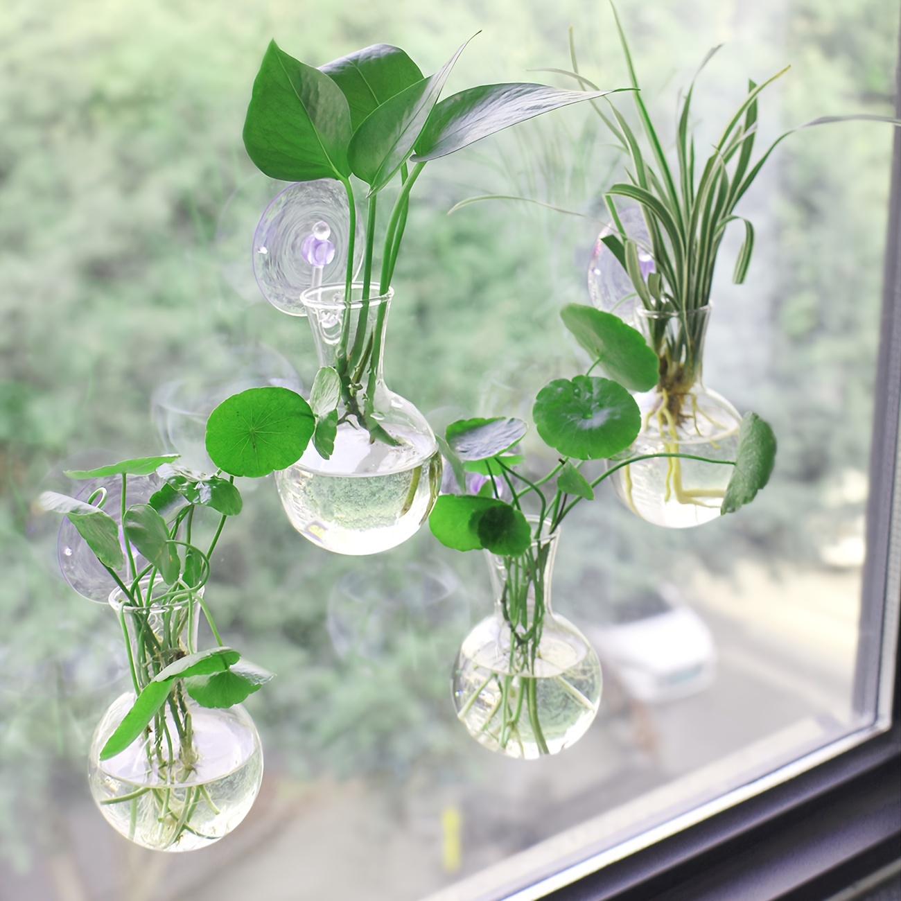 

4pcs Window Plant Propagation Stations, Bulb Vase With Suction Cups - No Nails, Glass Plant Hanging Terrarium, Glass Hydroponics Plant Containers, Office Home Decor