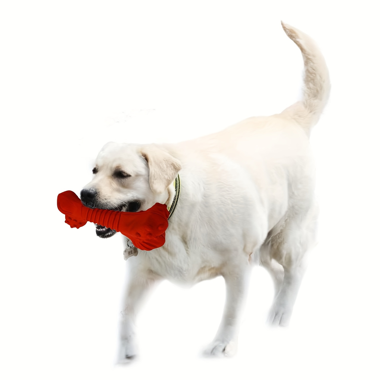 

Dog Durable Chew Toy, Bone Shaped Dog Interactive Play Tpr Toy, Teeth Clean Training Toy Pet Supplies