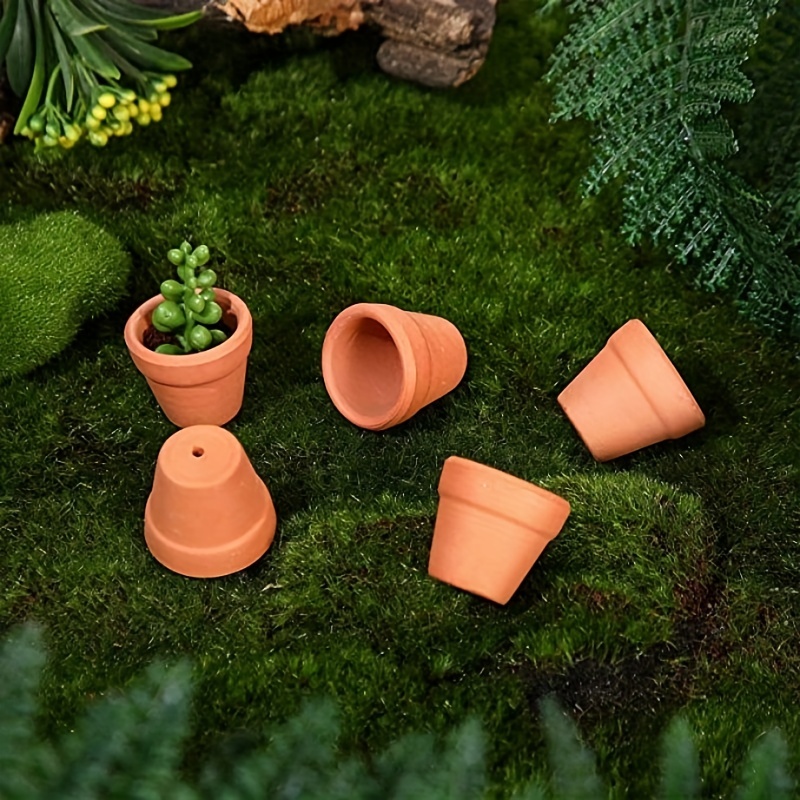 Pots pour plantation en terre cuite - Mini pots en terre cuite