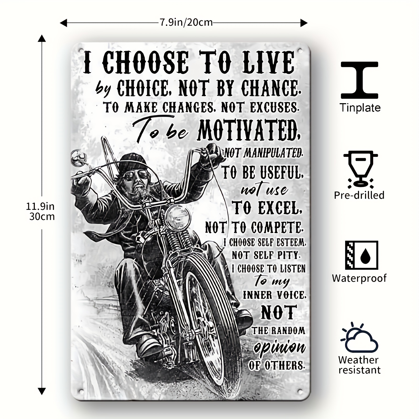 Motorcycle Posters & Wall Art Prints