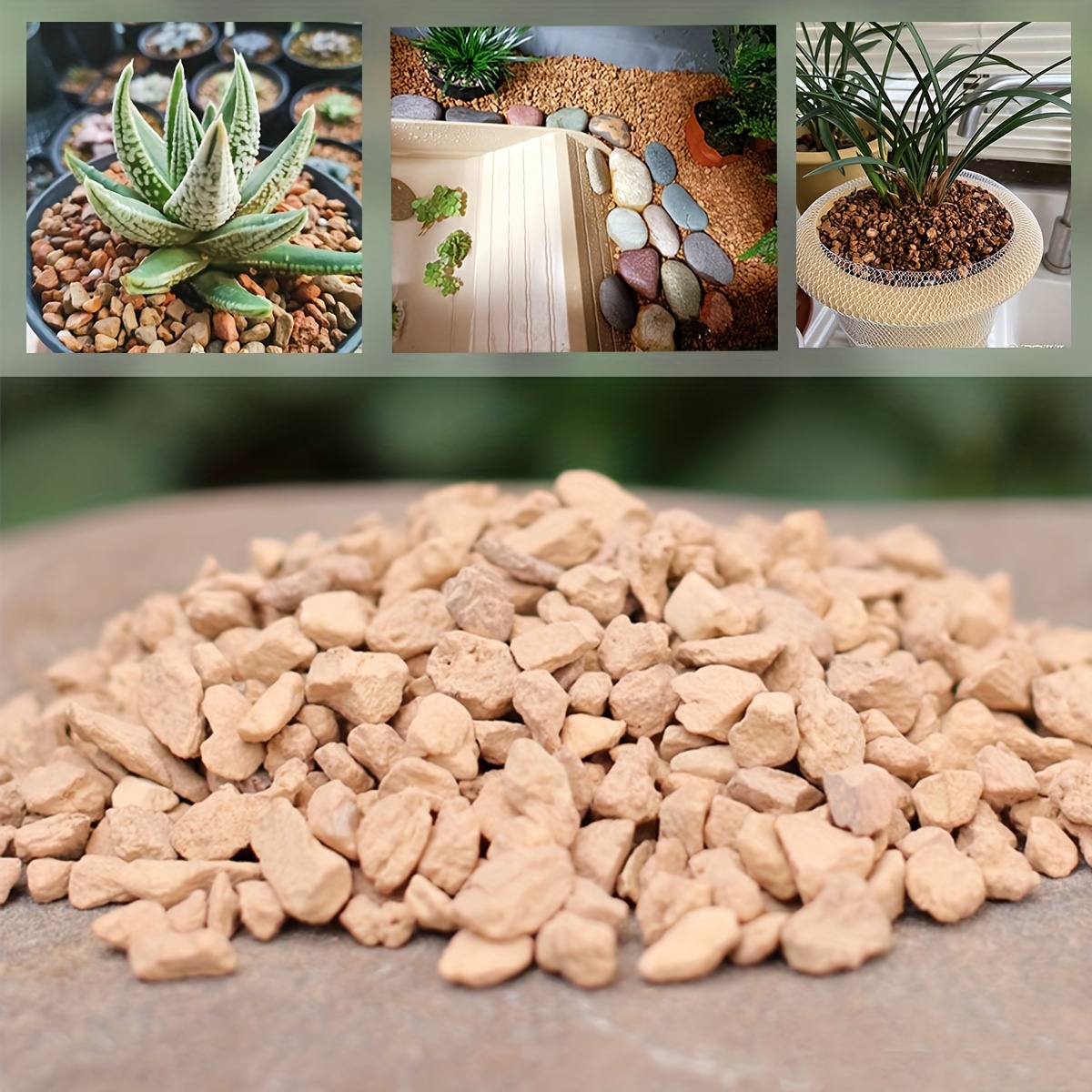 Coarse Silica Craft Sand Natural Decorative Real Sand Bonsai Pumice  Succulent Cactus Soil Cover Top Dressing Terrarium Sand Natural Color for  Cacti