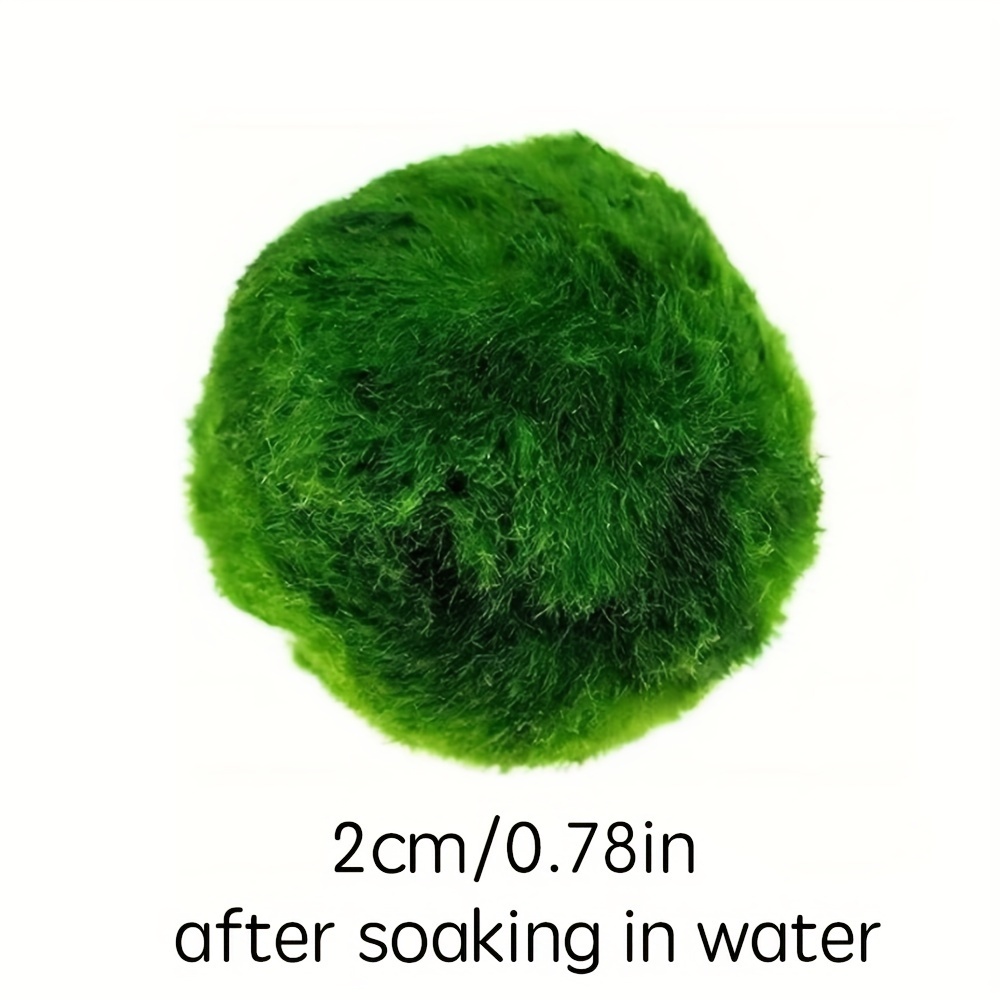 Fish Tank Decorative Moss Ball Fish Tank Water Grass Moss - Temu