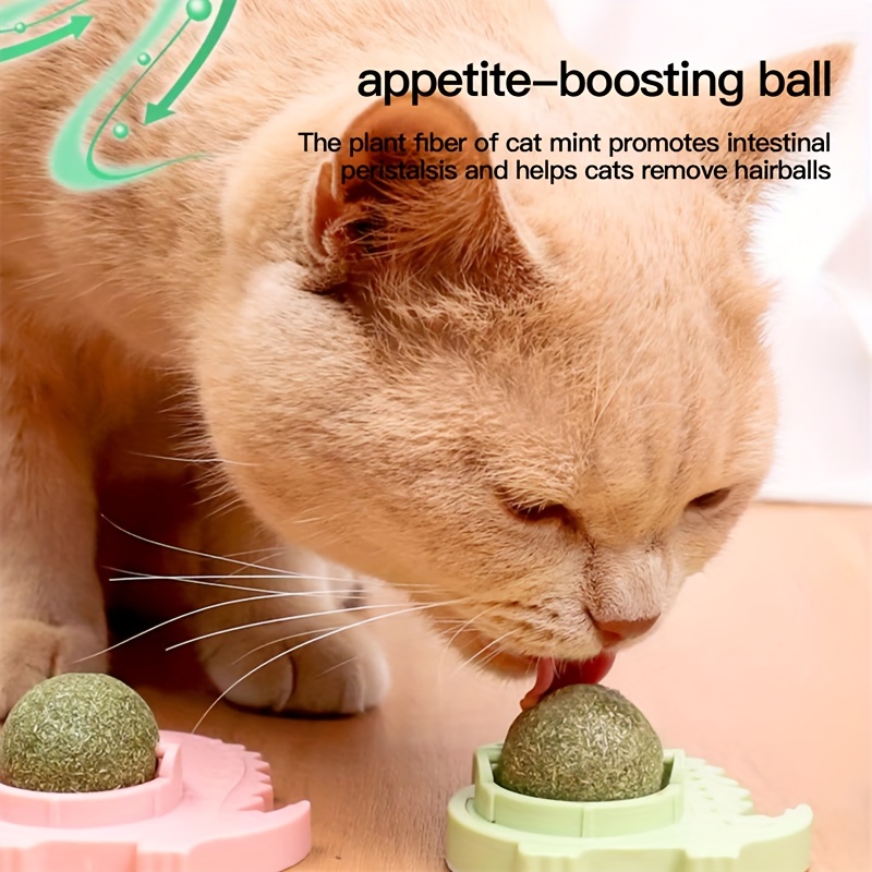 Interactive Toy Cat Food, Interactive Toys Ball Cats