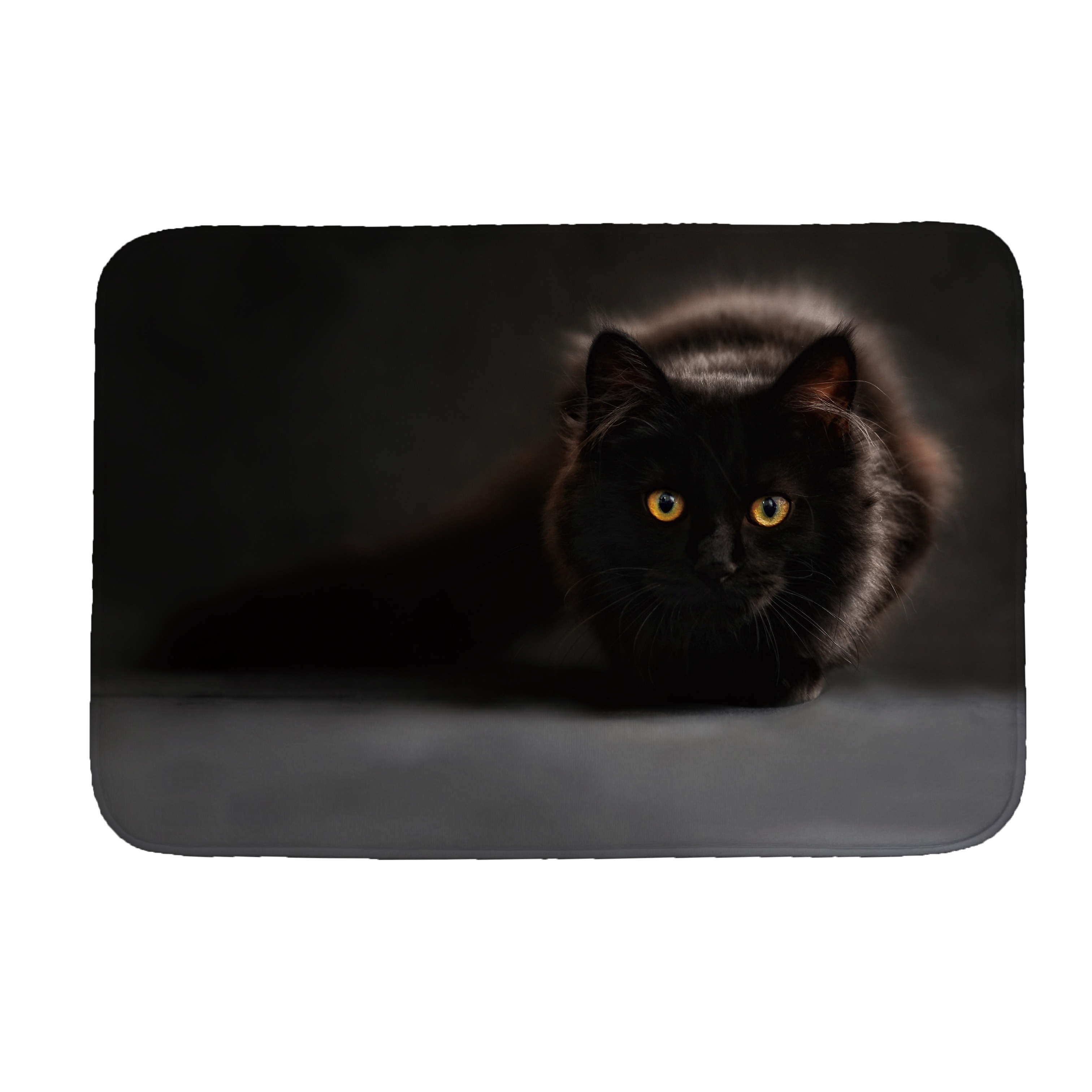 Cute Cat Printed Mat,thickened Soft Bath Mat For Bathroom, Water