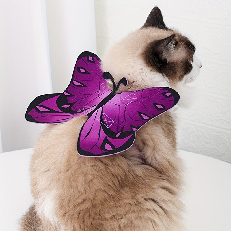 1pc Animal Chat Papillon Ailes Pour Halloween Fête - Temu Belgium