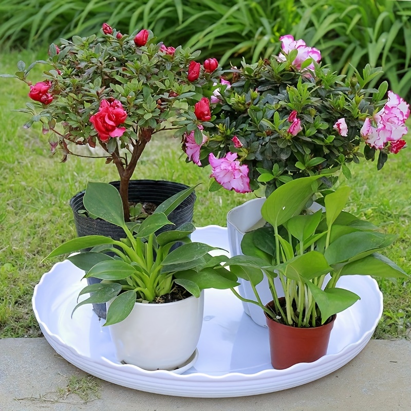 Thickened Plastic Planter Drain Trays Perfect For Patio Lawn - Temu