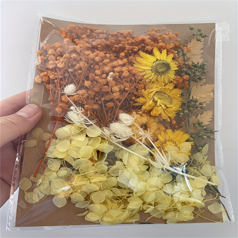 Dried Flower Material Package Diy Epoxy Preserved Flower Crafts Handmade  Bookmark Scented Candle Soap Dried Flower Material