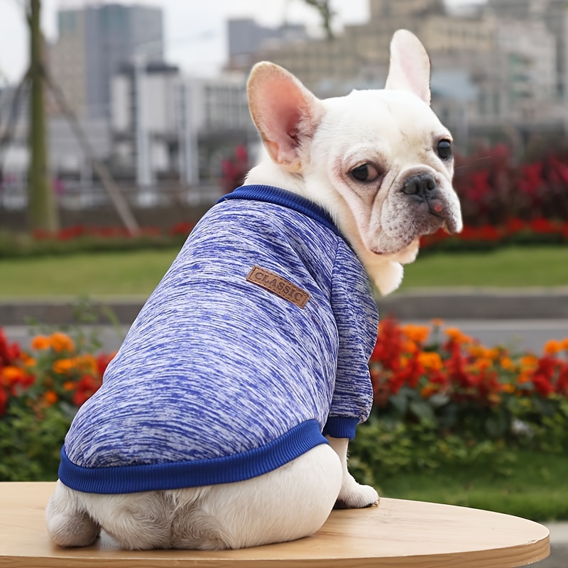 Cozy dog clearance sweaters