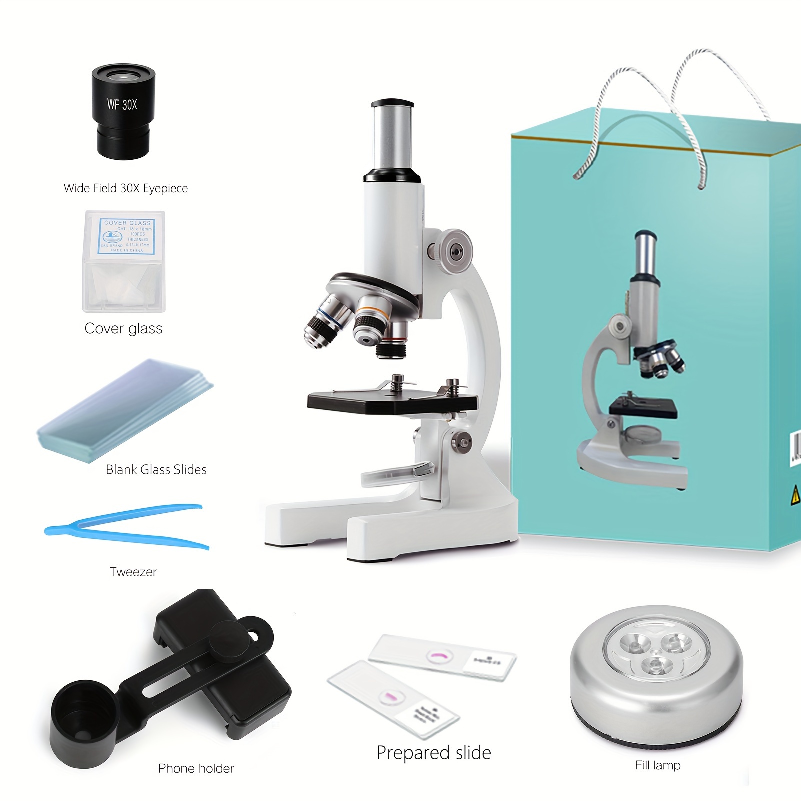 Portaobjetos con muestras para Microscopio · Física y Experimentos