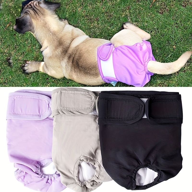 Pañales lavables para perros femeninos (paquete de 3), pañales para  cachorros de niña altamente absorbentes, pañales para perritos, vestidos de  bragas