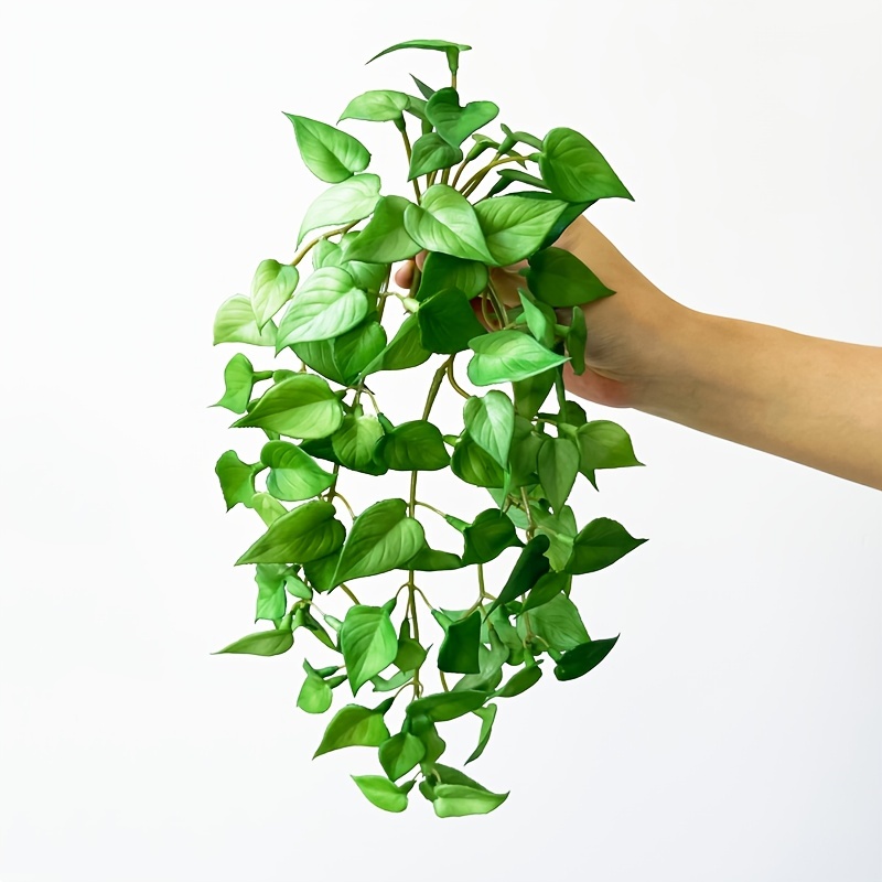 Plante verte artificielle retombante imitation nertera 24'' – Beaulieu Décor