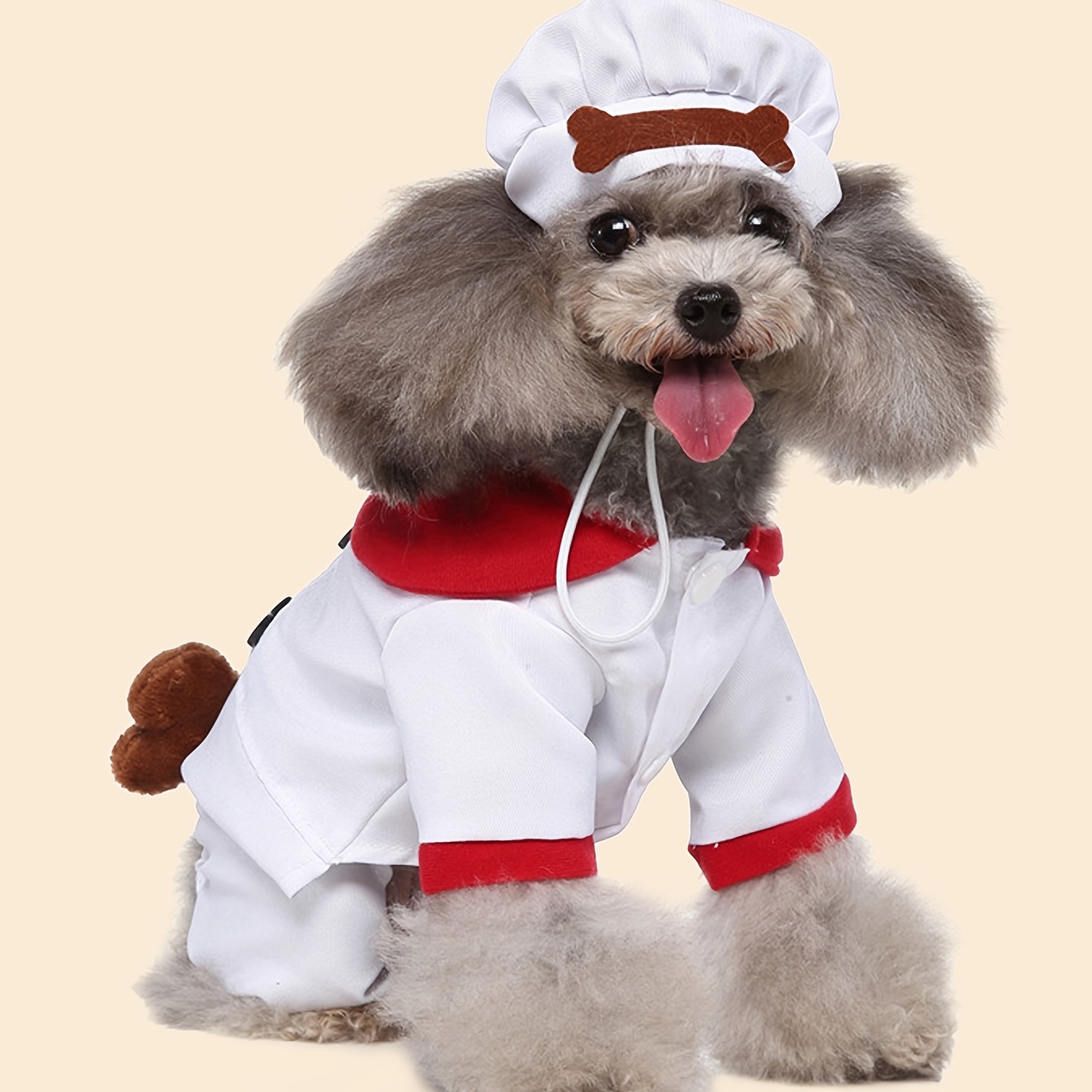 weird dog clothes