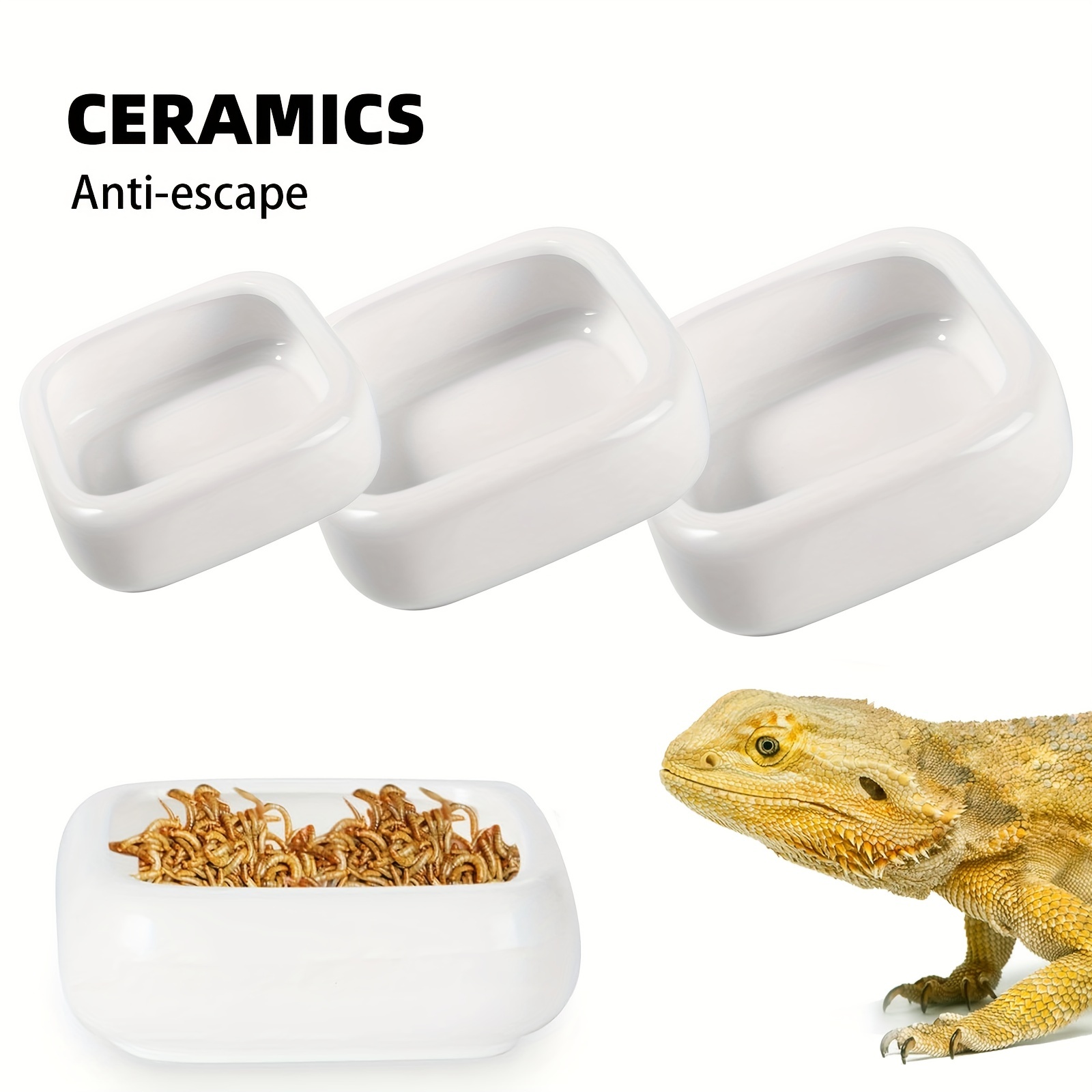 Ceramic on sale reptile bowl