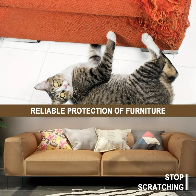 Clear Cat Sofa Ers Reversible