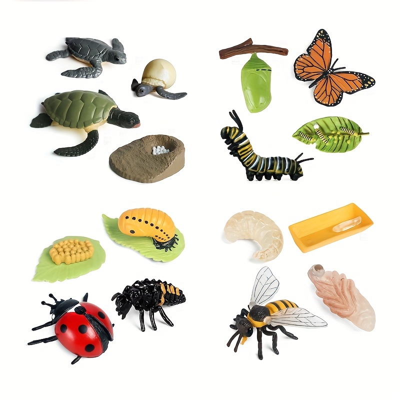 8PCS Life Cycle Figurines of Monarch Butterfly and Actias Ningpoana,  Realistic Education Insects Life Cycle Toys, Caterpillar to Butterfly Kit  Growth