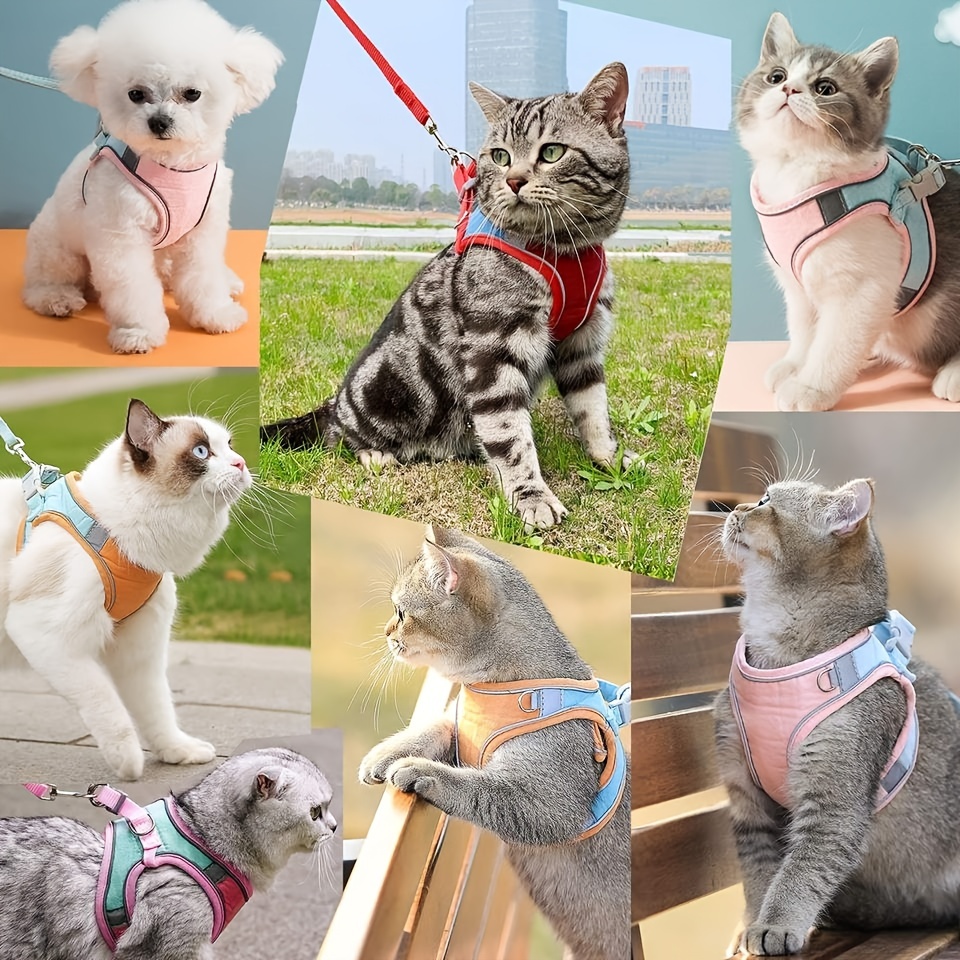 JOBDE - Arnés para gato, 2 unidades de arnés y correa para caminar, fácil  control con cuerda de tracción para mascotas, para cachorros, gatitos