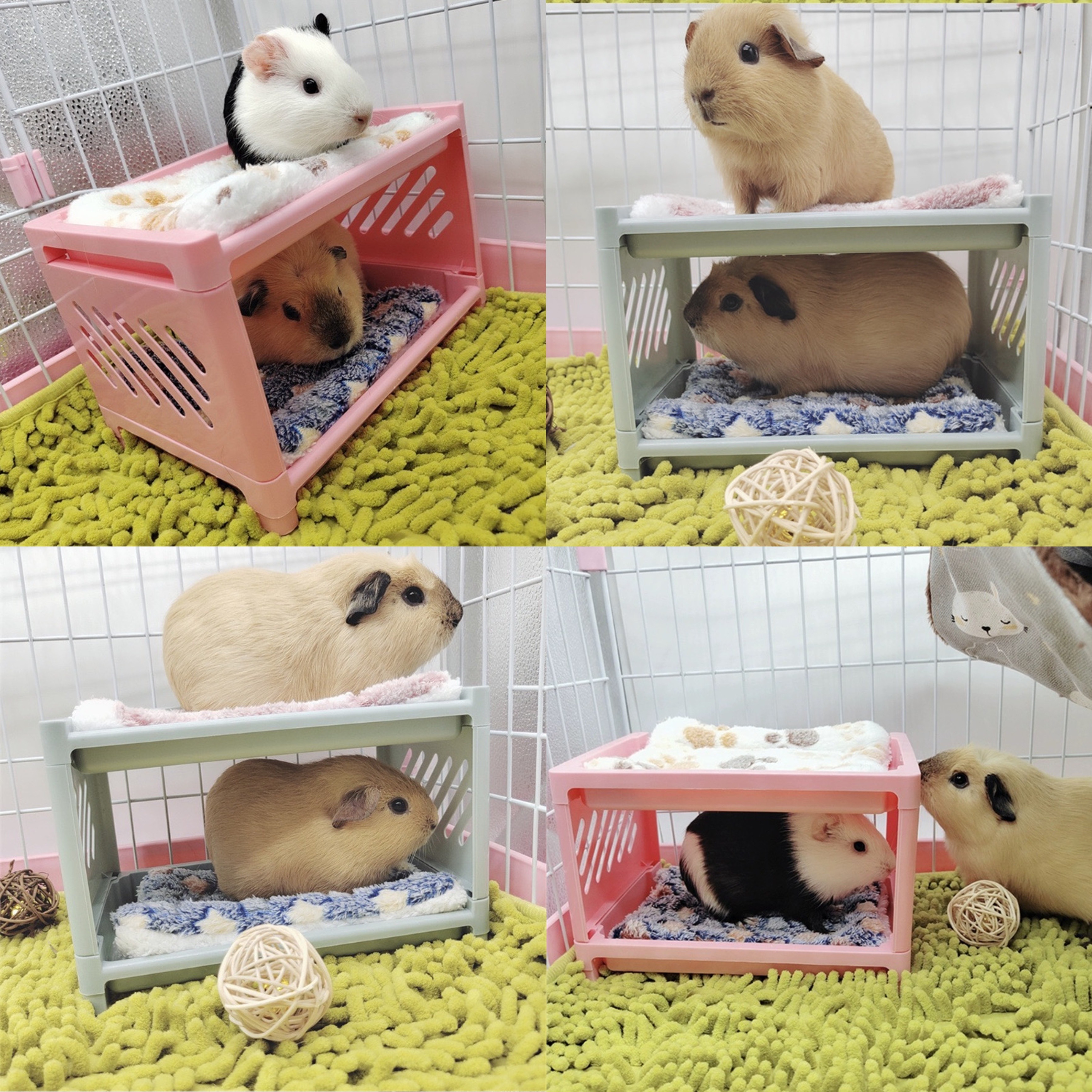 Hamster Lit Maisons Et Cachettes Nid de Coton Chaud Grotte Pour Petits  Animaux De Compagnie Cage Habitat Décor (Monstre Vert)