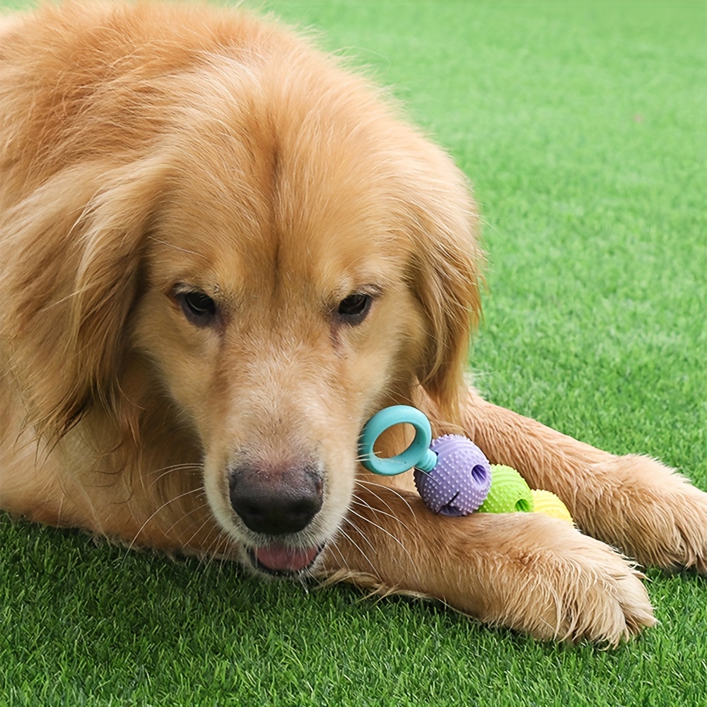 Juguetes Interactivos Para Perros Pelota Para Perros Que Gotea Comida  Juguetes De Goma Para Masticar Para Perros Juguete Molar Para Perros  Juguete Interactivo Color Aleatorio - Temu