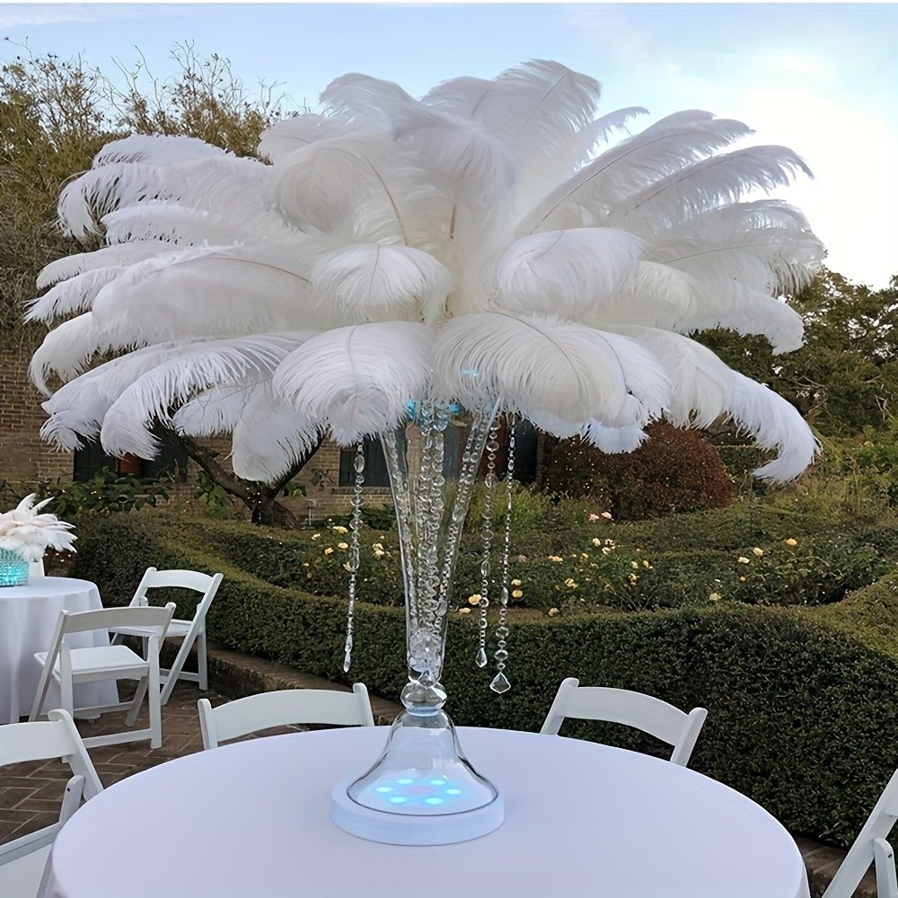 Ostrich deals feather centrepiece