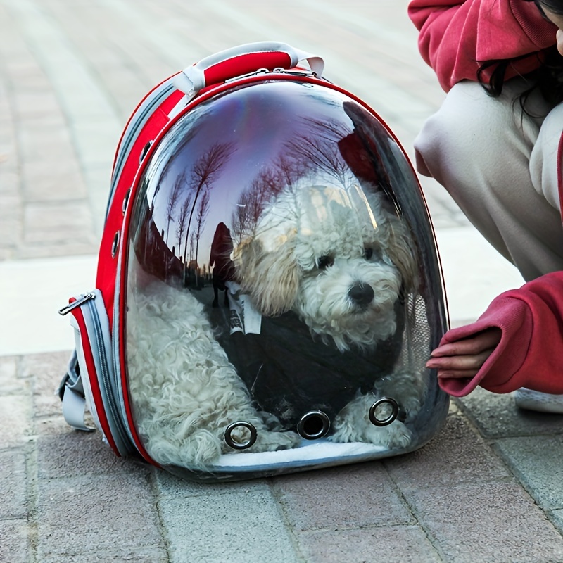 Bubble shop backpack dog