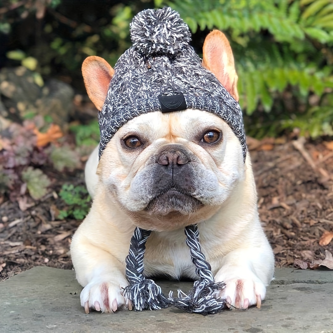 Haustier Hund Bequemer Warmer Hut, Winter Weiche Hundemützen, Hund  Gestrickte Mütze Mit Pom Pom Häkelschlauch, Stilvolle Haustier Kopfbedeckung