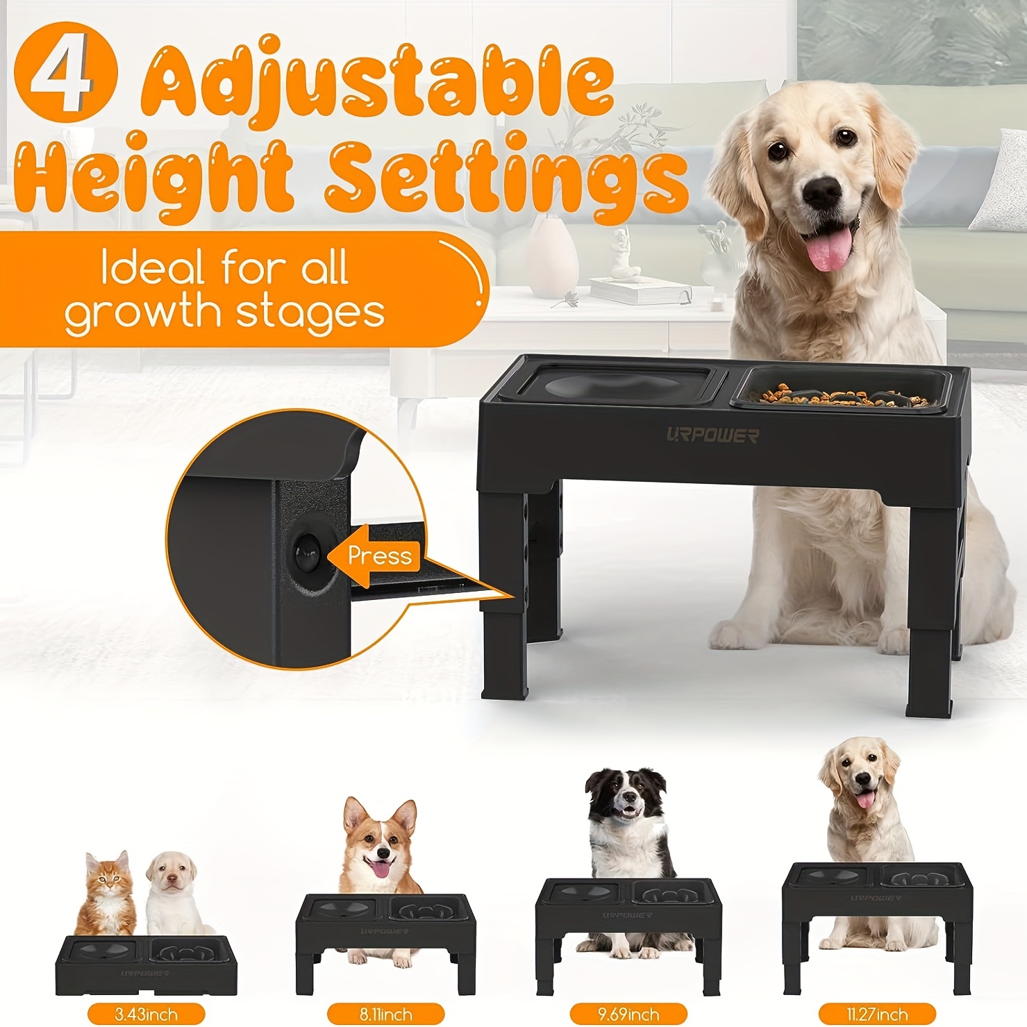 Elevated Dog Food Water Bowl - Raised Dog Bowls with Stand Non Skid -  Double Dog Feeding Bowl