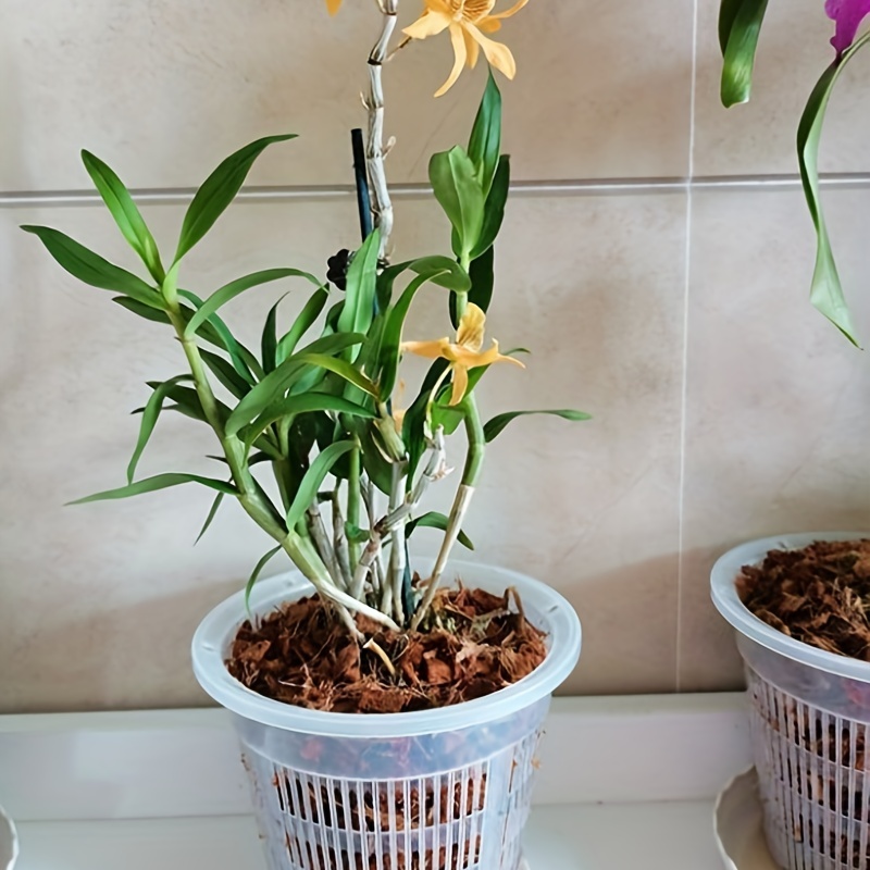 1 Confezione, Speciale Vaso Orchidee In Plastica Traspirante E