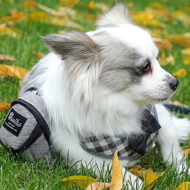 Liquidación De Cosas Para Perros Bolsas De Caca - Temu