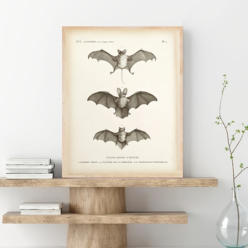 Victorian Bat Lady Fine Art Print Costume dHalloween vintage Gothique Art  sombre Bat Art Illustration -  France