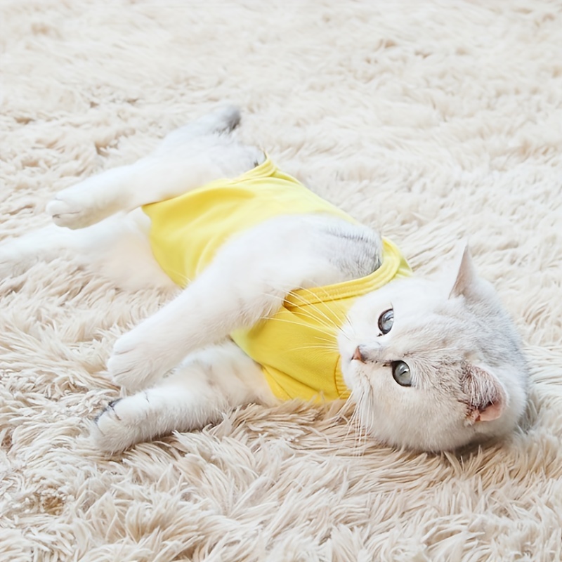 Surgical t shirt outlet for cats