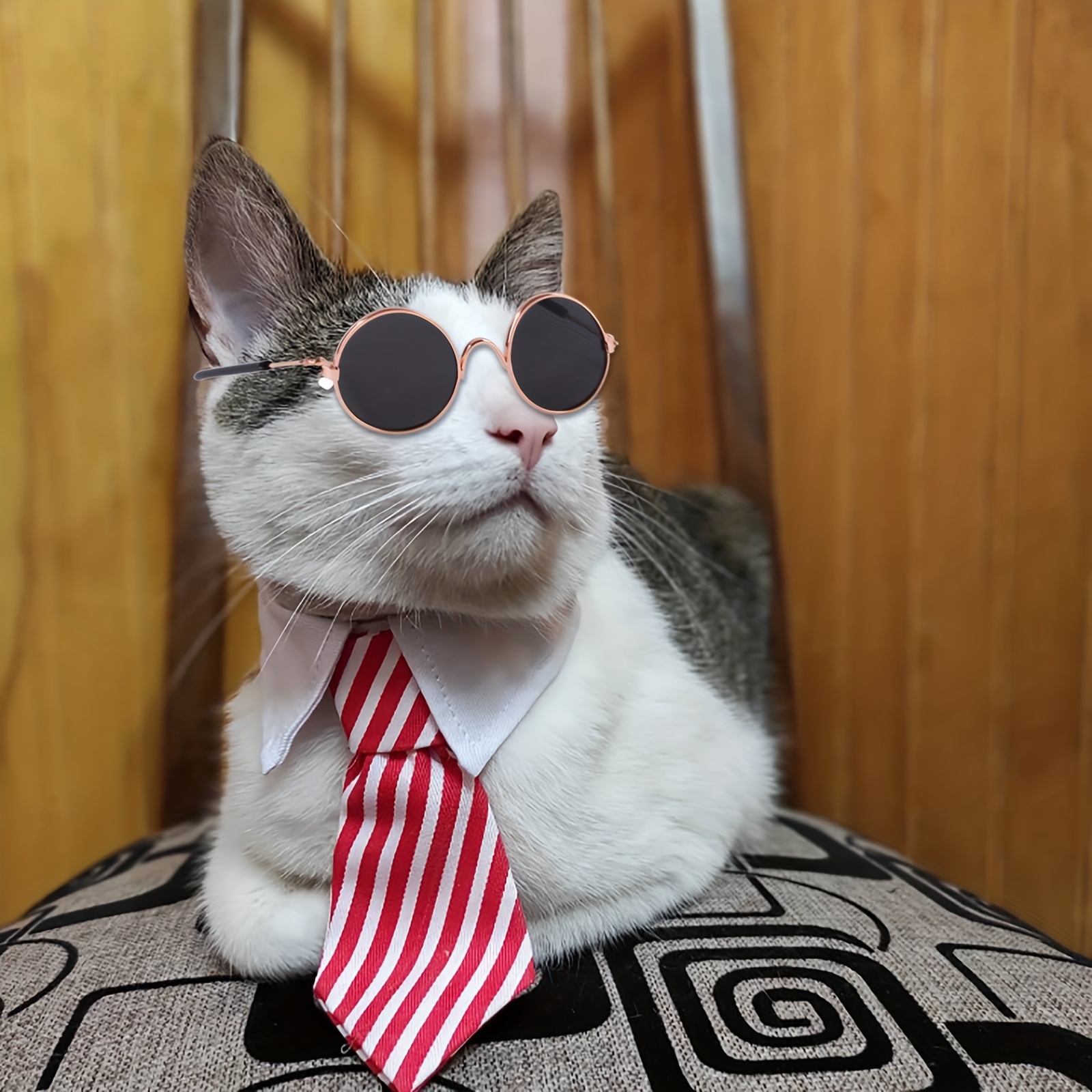Cat Costume For Cats - Temu