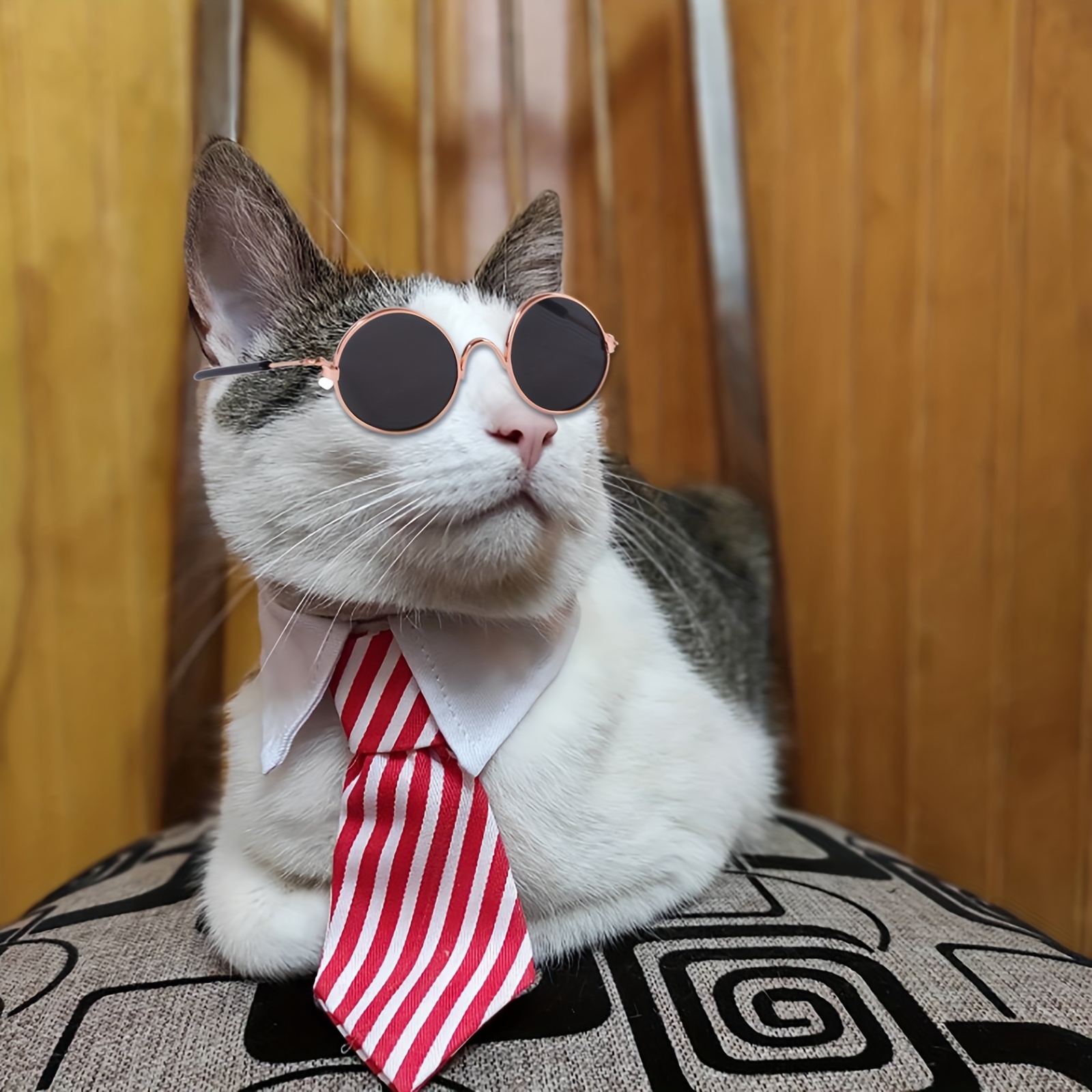 Cat 2024 tuxedo costume