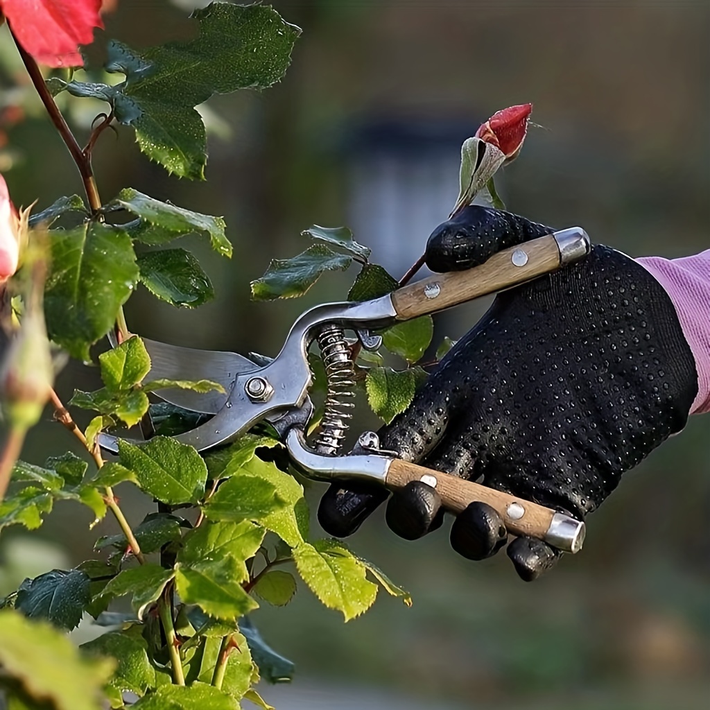 Garden shears wooden handle