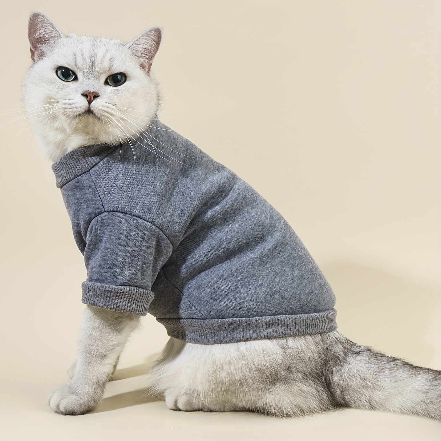 1pc summer pet sweatshirt casual and comfortable plain color clothes for dogs and cats Product details 5