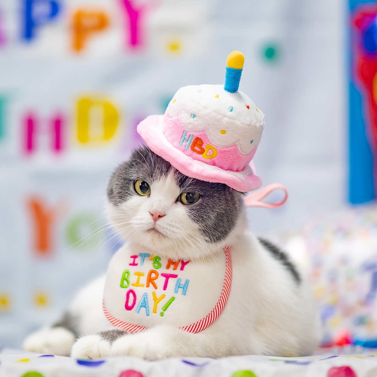 Gorro Fiesta Cumpleaños Gato, Accesorios Pelo Mascotas, Equipo Cabeza  Gatito, Accesorios Fiestas Cumpleaños Mascotas, Compra En Temu Empieza  Ahorrar