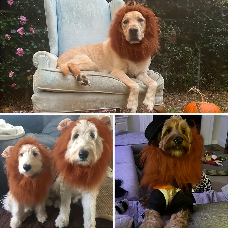 1pc Lion Mane Dog Costume, Lion Dog Hat, Suitable For Medium Dogs Simulated  Lion Wig, Dog Halloween Costume - Main Image