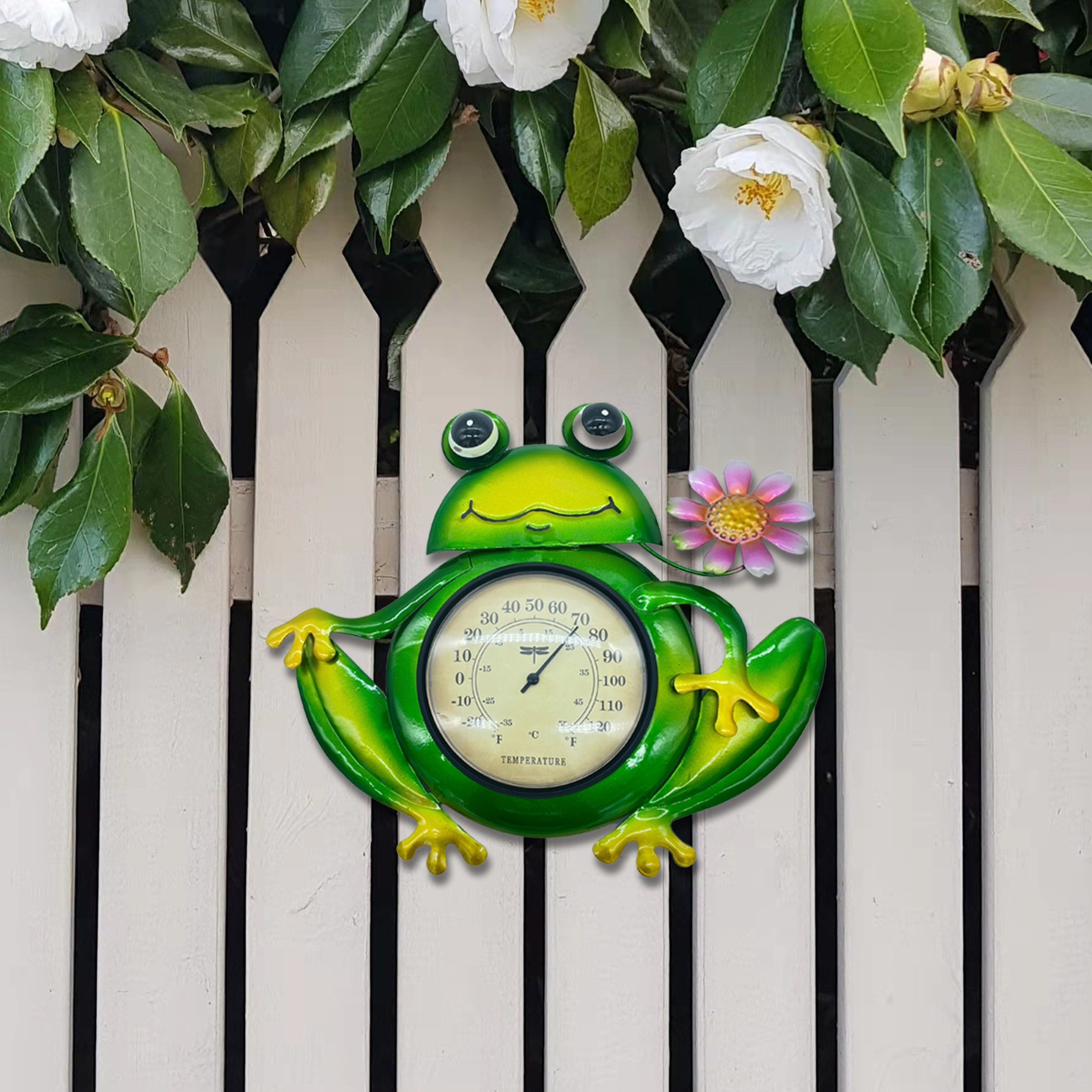 Thermomètre mural d'extérieur en plastique vert, Grenouille, Equipement  maison, Rangement de jardin