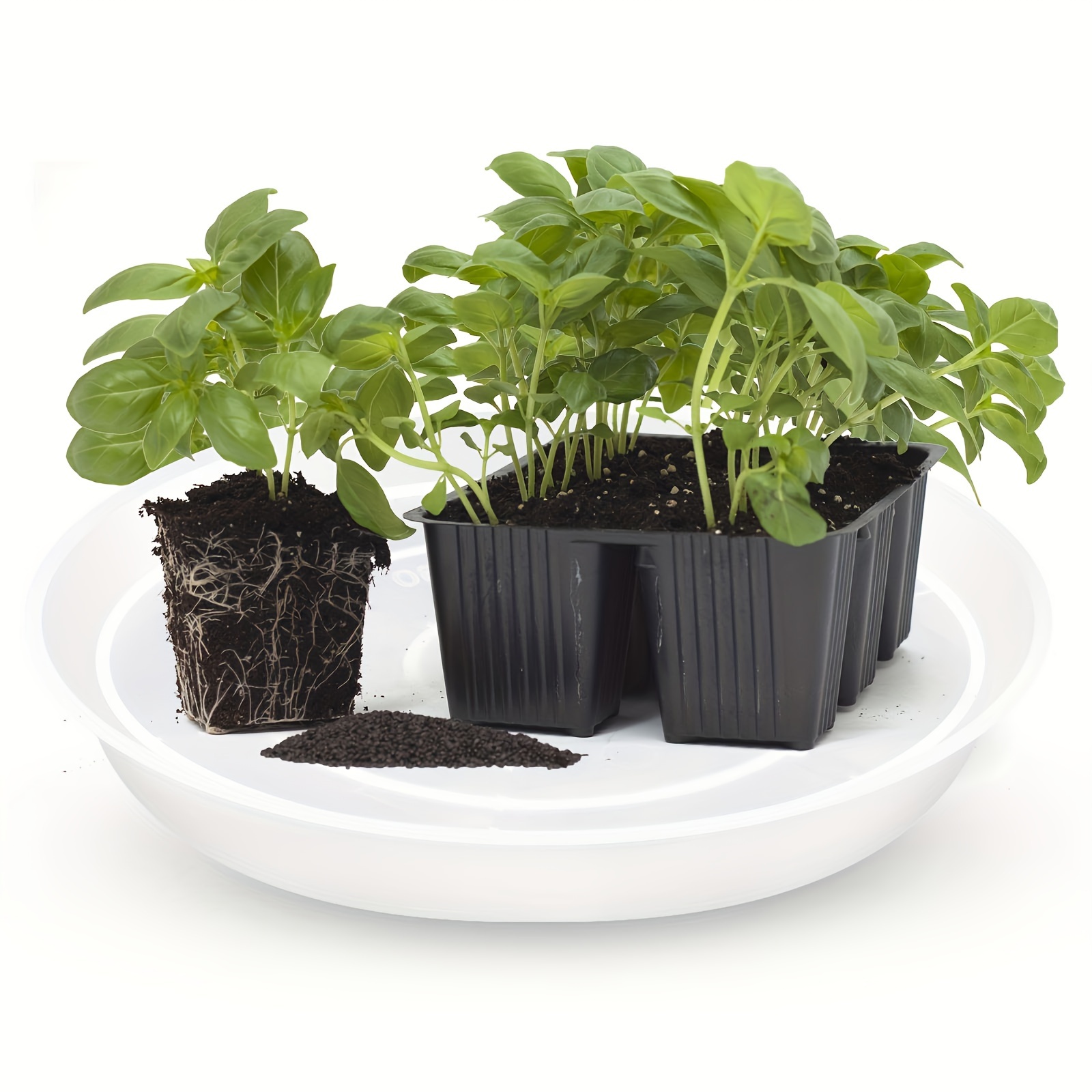 Plant Saucer Plastic Plant Tray transparent Sturdy And - Temu