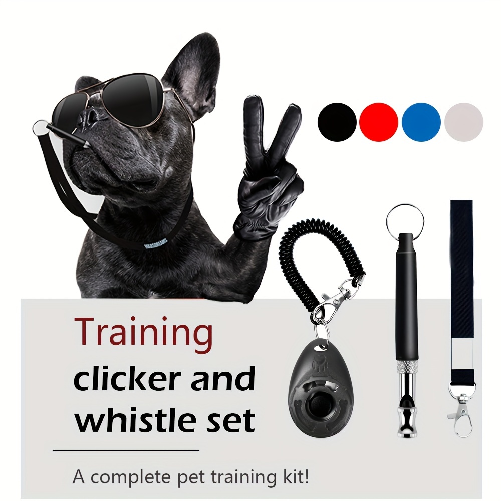 Dog Training Supplies: A Dog Trainer's Kit