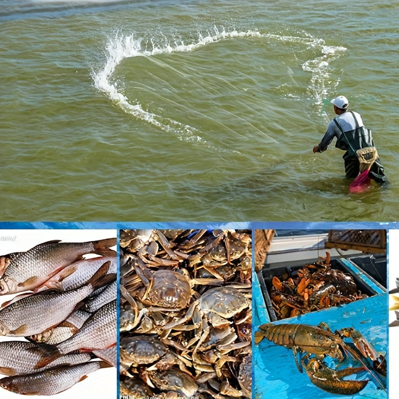Premium Wooden Handle Fishing Net Silicone Mesh Hand Fishing - Temu