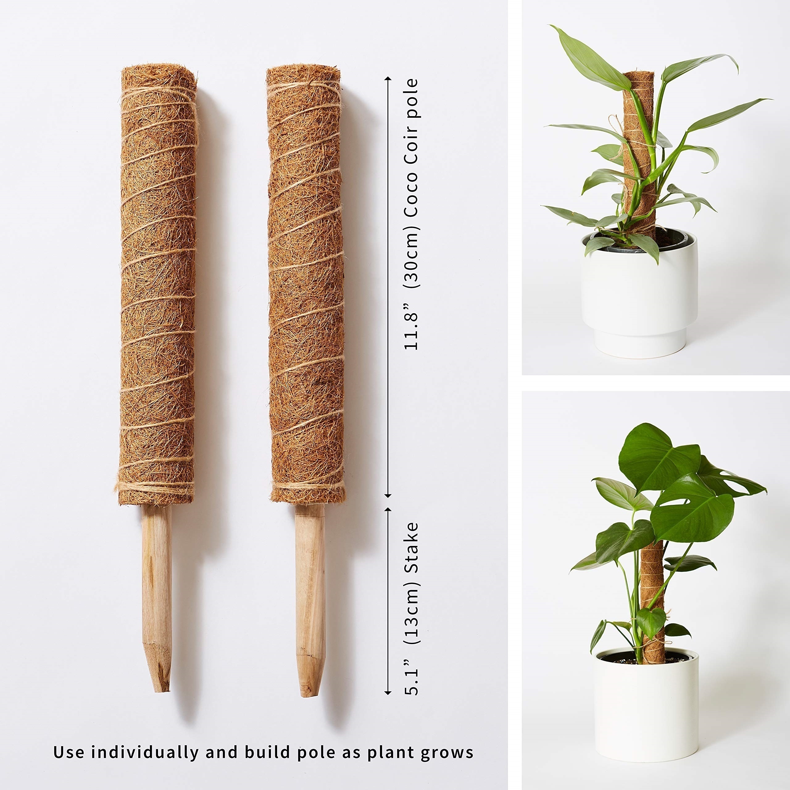 Plant Moss Coir Pole Bendable Plants Climbing Support Extension Palm Vines  Stick Indoor Balcony Garden Courtyard Flower Decor