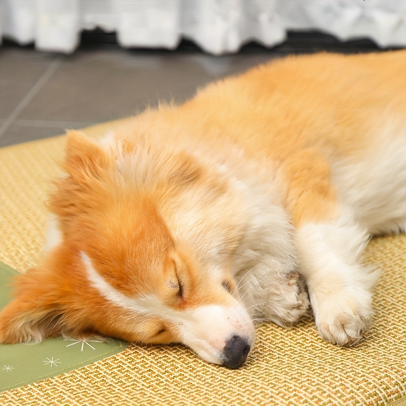 Tappetini Animali Domestici Rinfrescanti Estivi Coperta Cani Di