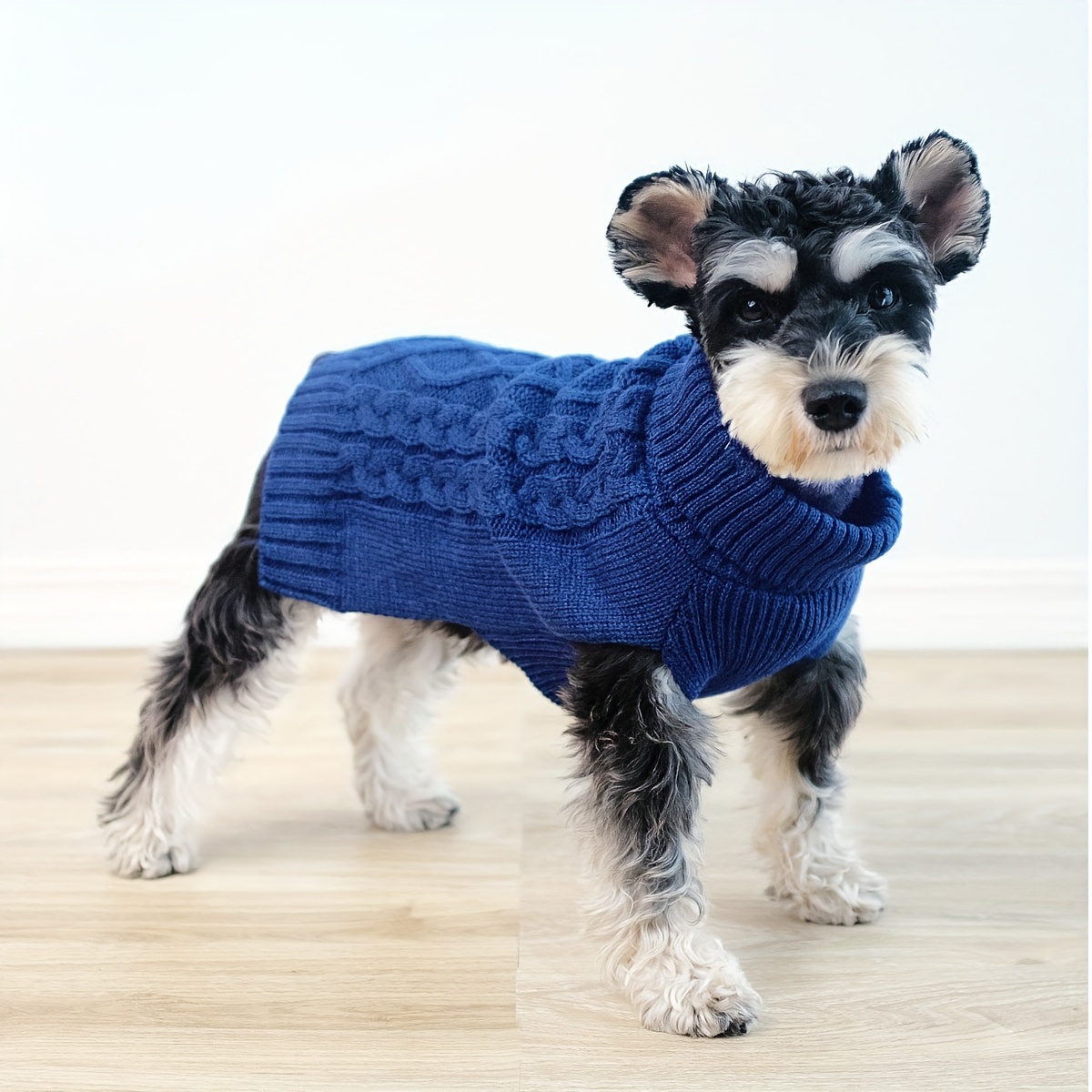 Cheap sale puppy sweaters