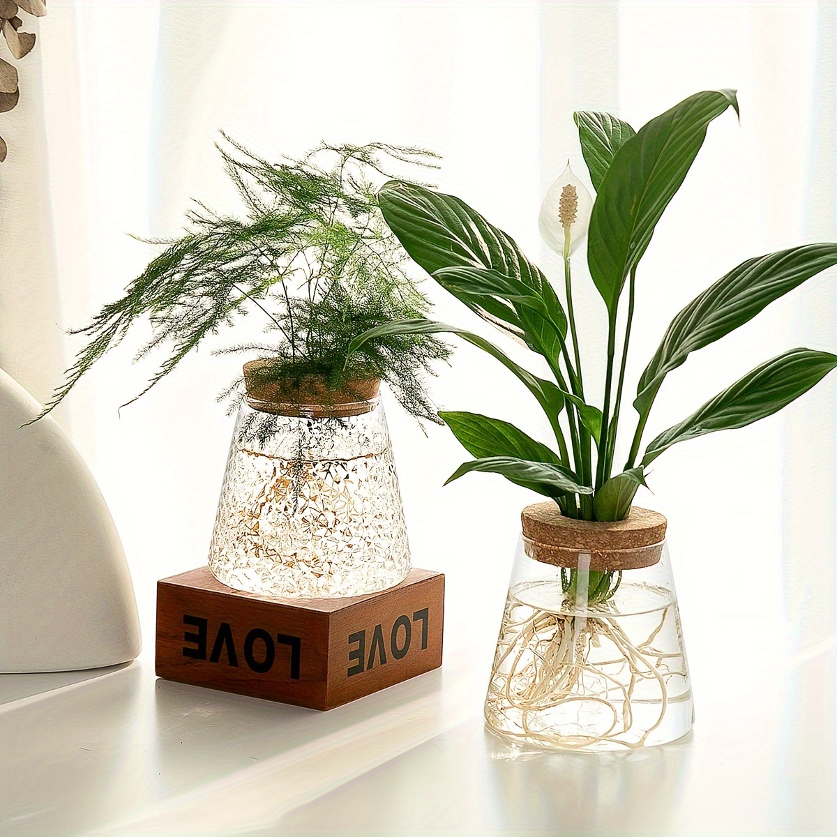 Terrarium en verre avec bouchon en liège en bois pour la propagation des  plantes hydroponiques, décoration de la maison ou du bureau : :  Cuisine et Maison