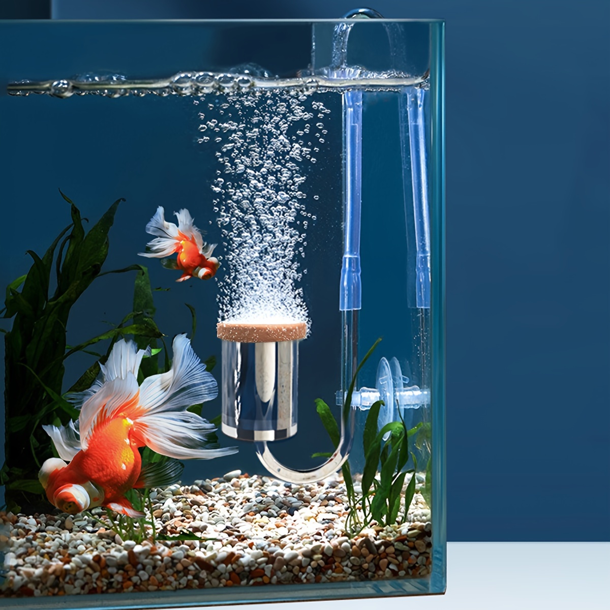 Sprudelstein Aquarium für Sauerstoffpumpe