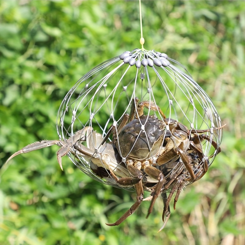 Sougayilang Foldable Fishing Net Trap: Catch Crabs Crawdads - Temu