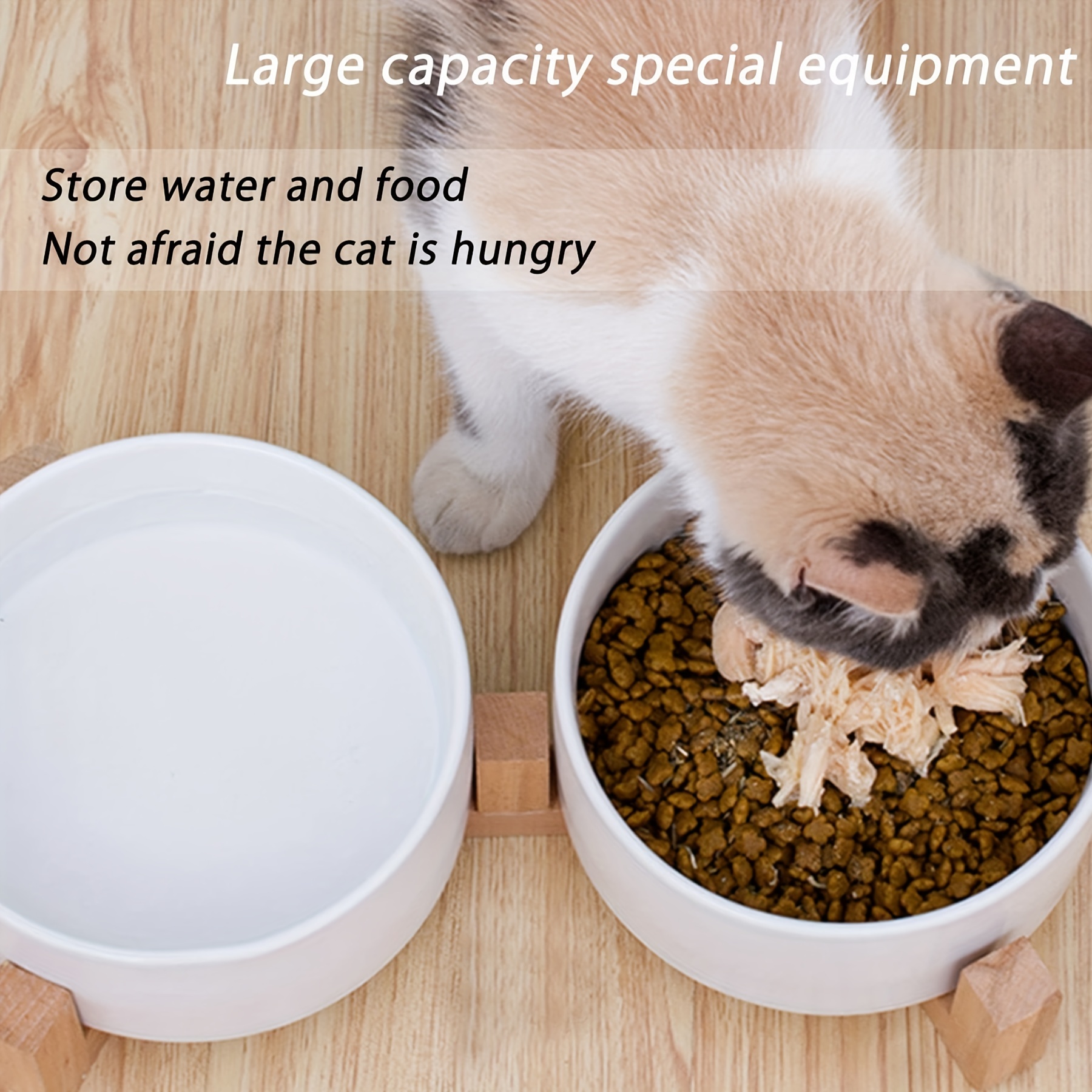 Double Dog Cat Bowl, Pet Water and Food Bowls Set with Detachable