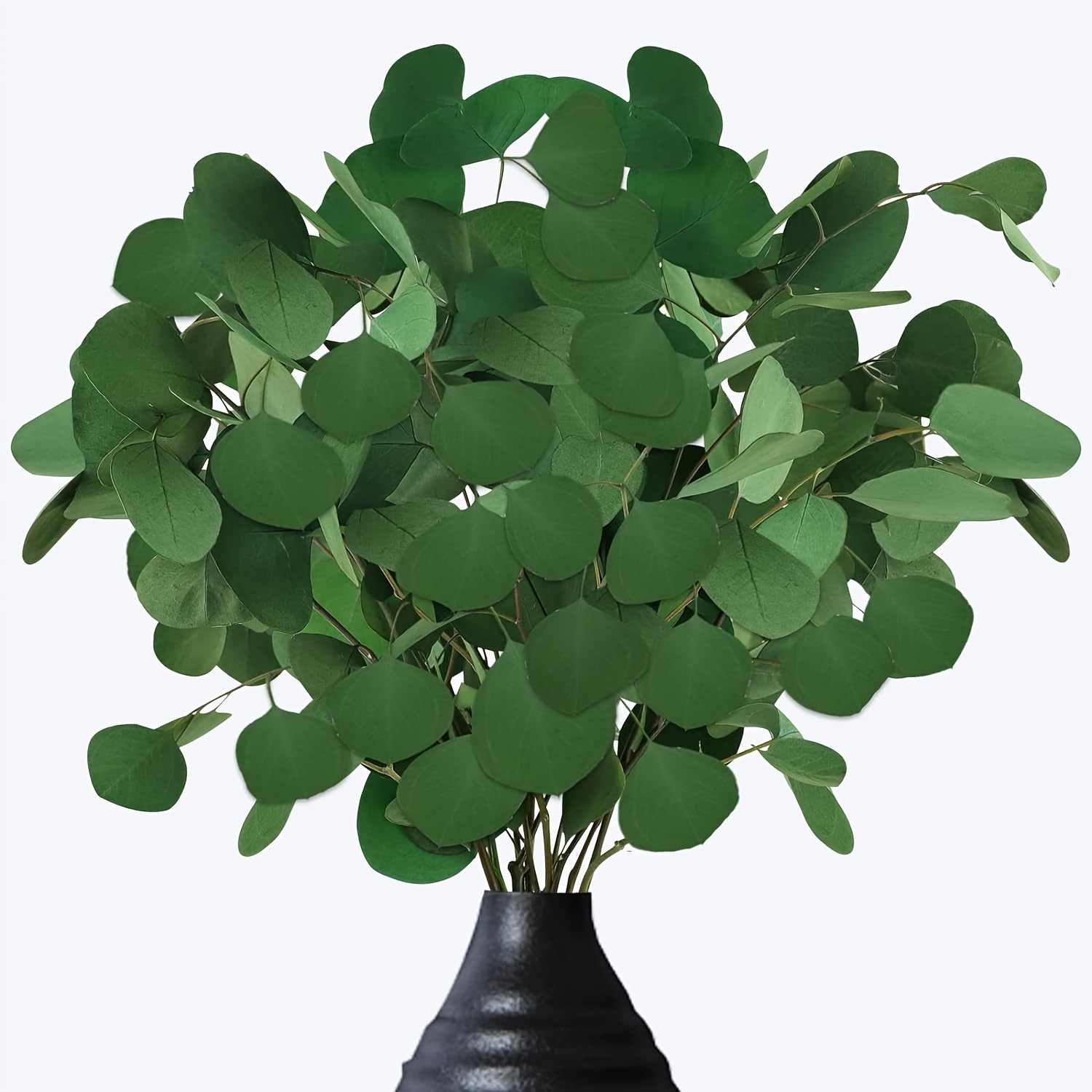 Vertical Glove Display Large Dried Eucalyptus Bundle - 12 Stems ...