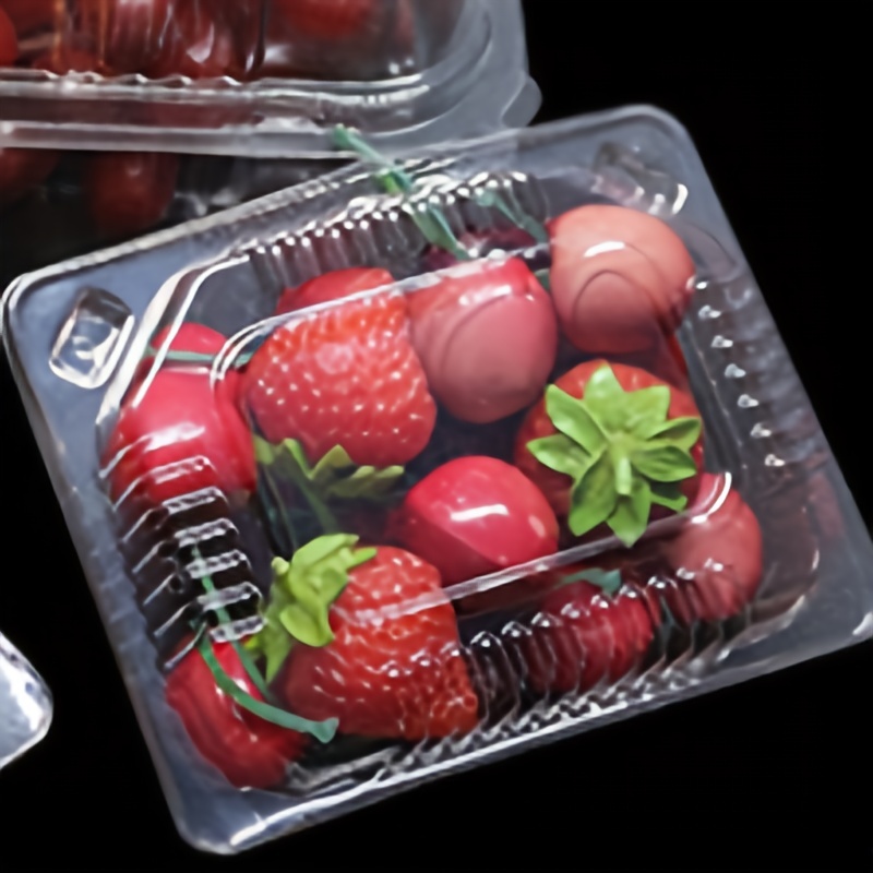 Boîte à fruits secs plastique jetable