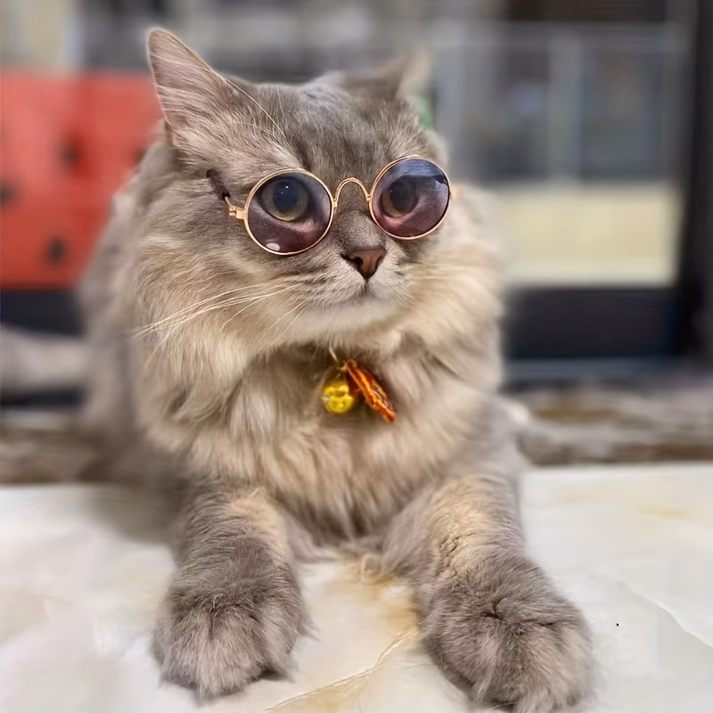 pet sunglasses vintage round shades for cats and small dogs fun photo accessory for your furry friend Product details 0
